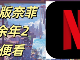 国内版奈菲Netflix