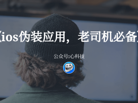 一致下落(伪装上架)