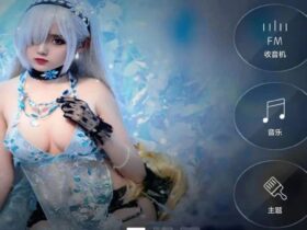 XUI车载桌面破解版