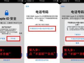 iOS 14 必备小组件插件-WidgetArt 内购账号