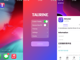 iOS 14.3 Taurine
