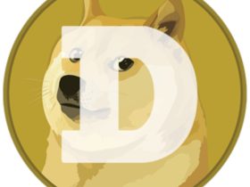 【Testflight邀请码】 DogeDEX