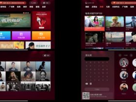 全民K歌TV版 v4.3.12 中文高级版