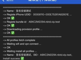 NB助手安装教程堪比巨魔商店