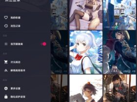 次元壁纸 v2.2.16 无广告高级版 二次元图片