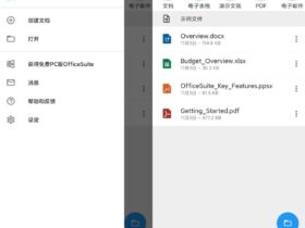 OfficeSuite Pro v10.22 高级谷歌版 手机办公软件