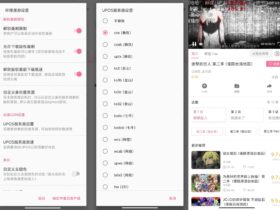 哔哩哔哩 v2.10.1 解除番剧地区限制版 内置哔哩漫游模板
