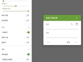 ADM安卓下载神器 v12.0.1 中文高级版