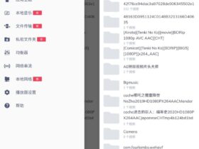 MX Player本地播放器 v1.32.6 无广告专业版